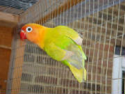bt176644_1.jpg