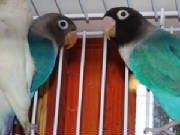 csc_00pp62.jpg