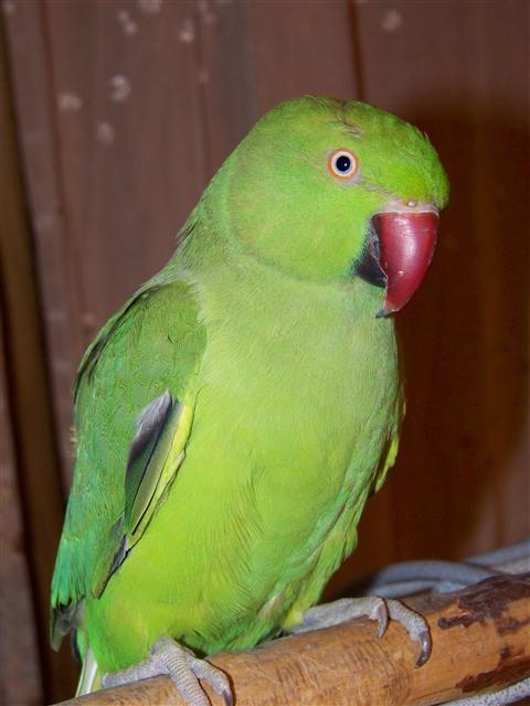 100_6637.jpg